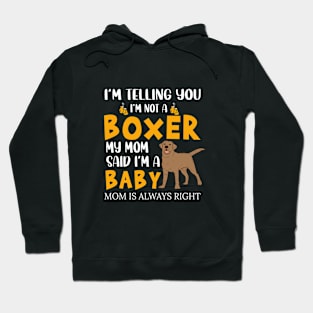 I'm telling you i'm not a boxer Hoodie